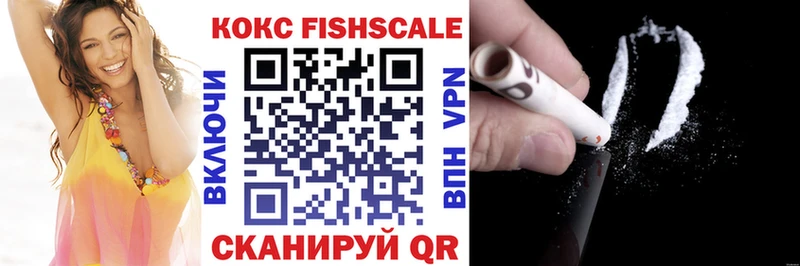 Cocaine FishScale  Купить  Камень-на-Оби 