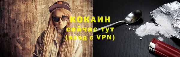 соль ск Горнозаводск